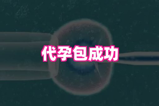 河南助孕网站 1
