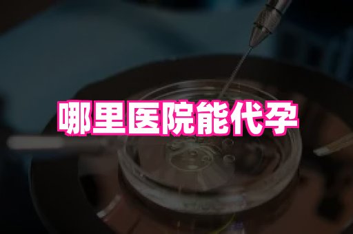 河南助孕网站 2