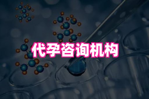 河南助孕网站 3