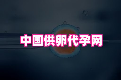 河南助孕网站 4